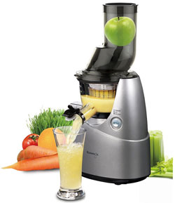 Masticating Juicer