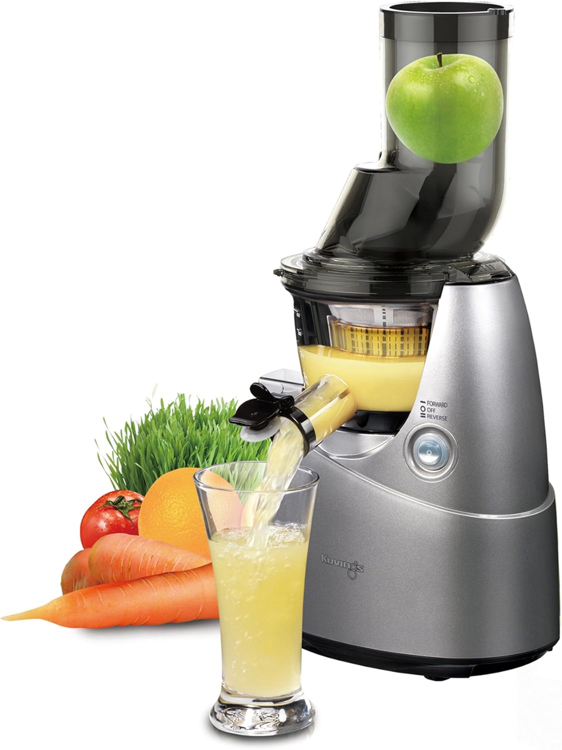 Slow Juicer